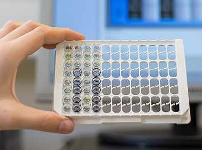 C6 Lyme Elisa