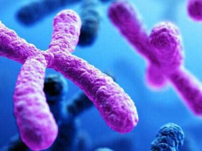 Blood diseases