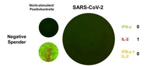 SARS-CoV-2 iSpot